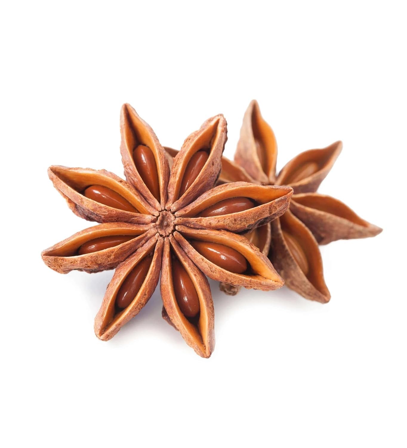Bague star anise spice whole organic chakri pool (50 Grams)