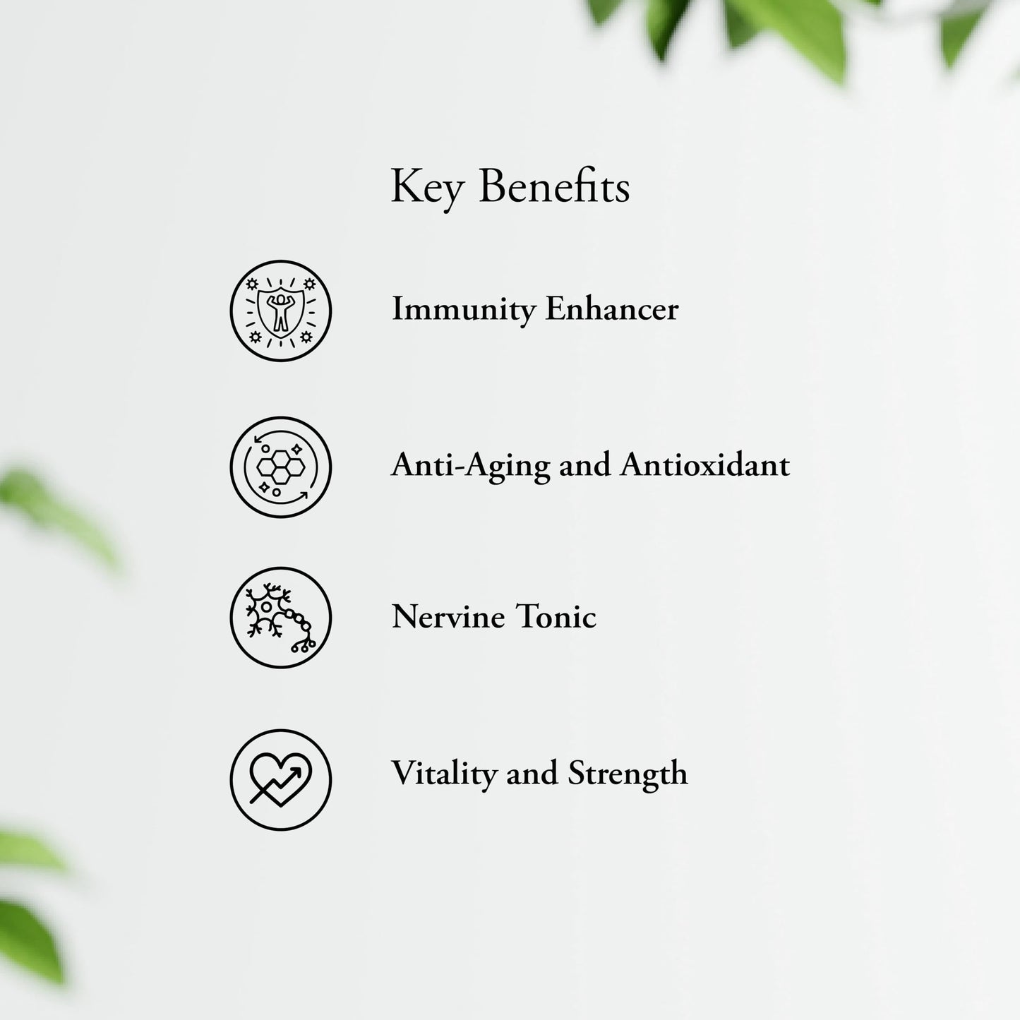 Sitaram Ksheerabala 101 Soft Gelatin Capsules 100Nos, Ayurvedic Formula- image 5