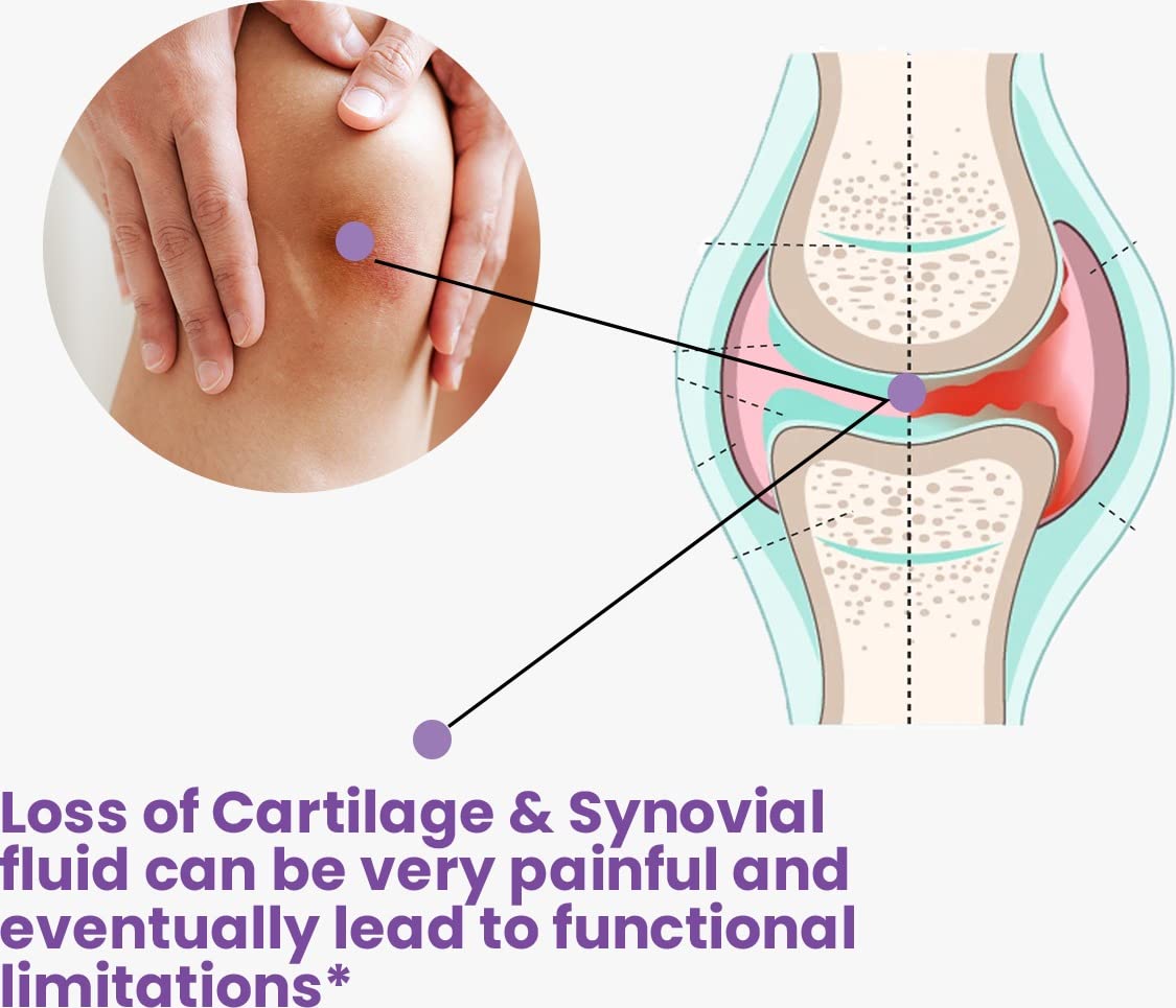 The Joints Co Ultra Ease with Type II Collagen, Glucosamine Chondroitin- image 9