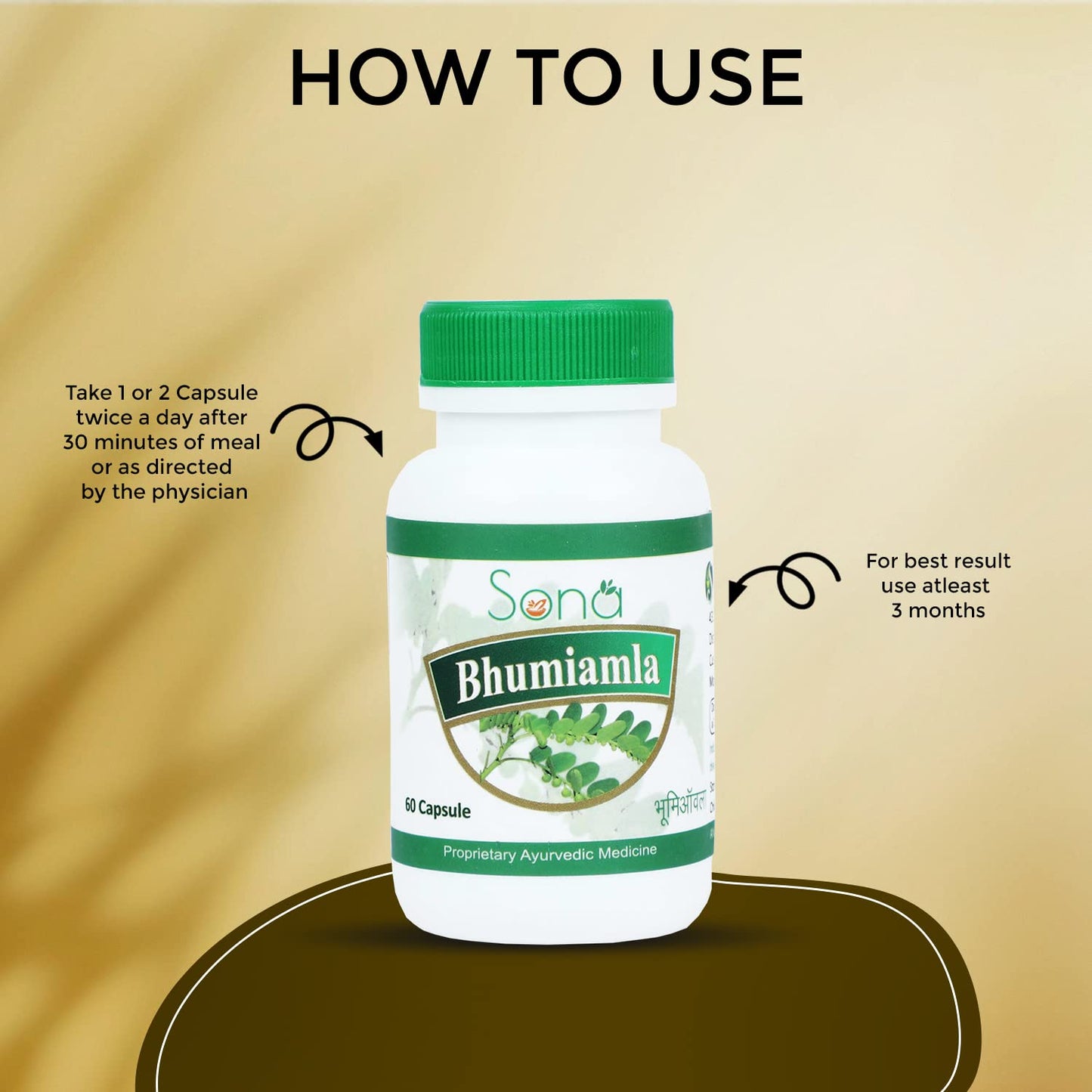 SONA HEALTH CARE Bhumi Amla, 60 Capsule(Pack of 2)