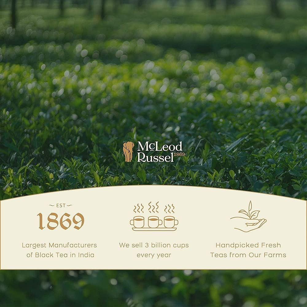 McLEOD RUSSEL 1869 English Breakfast|100 Gram|Daily Black Tea|Strong & Robust Blend|Farm Fresh Loose Leaf|40+ Cups
