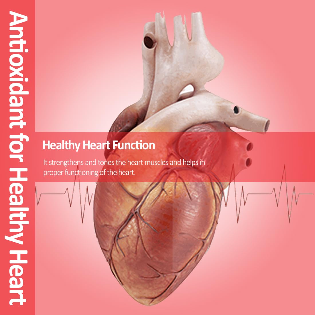 ANC Cardio Care Arjuna Extract & Moringa Extract for Heart Health & Cho- image 9