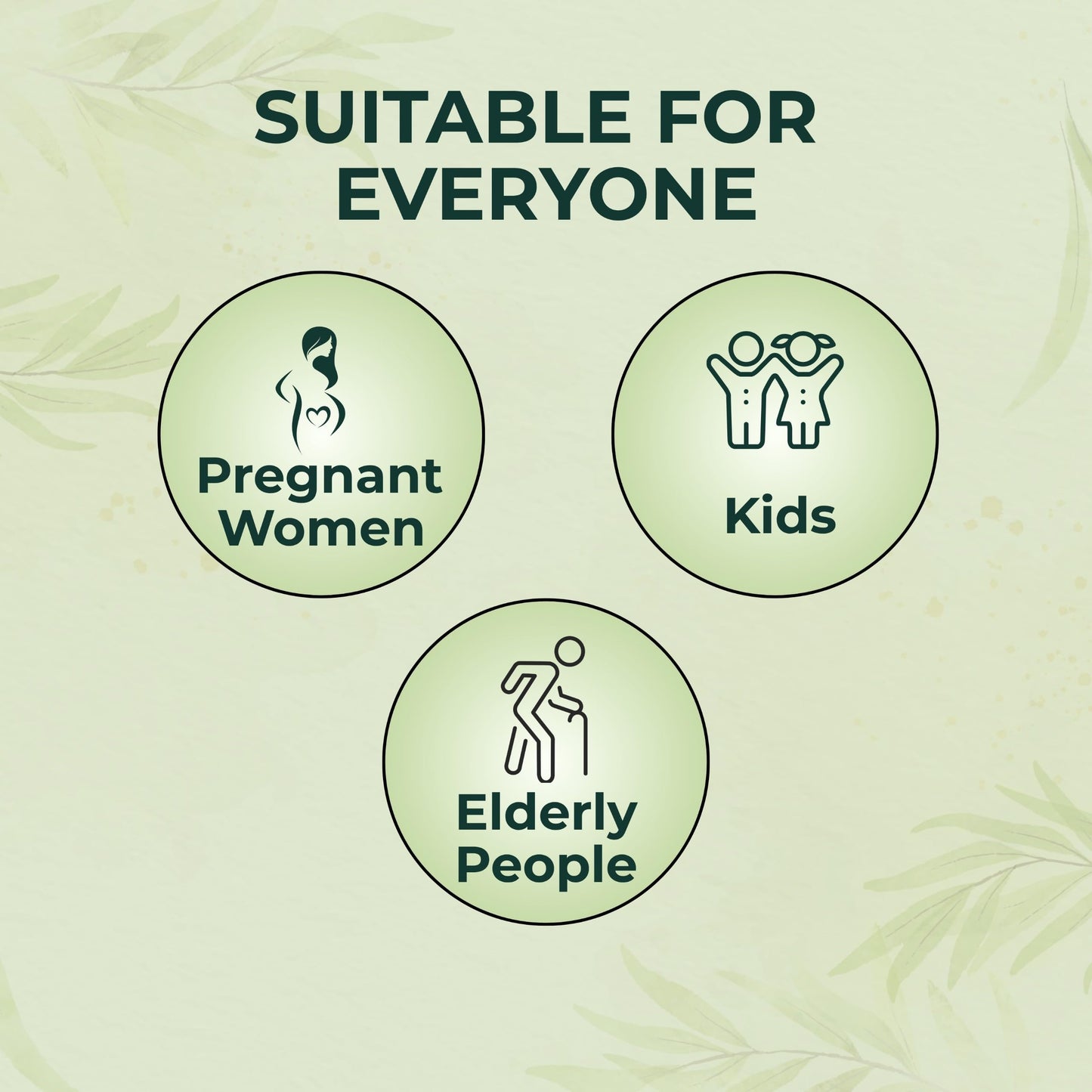 Zindagi Natural Sugarfree Sweetener | Pure Stevia Dry Leaves | Diabetic Friendly Stevia Sugar | Pack Of 2