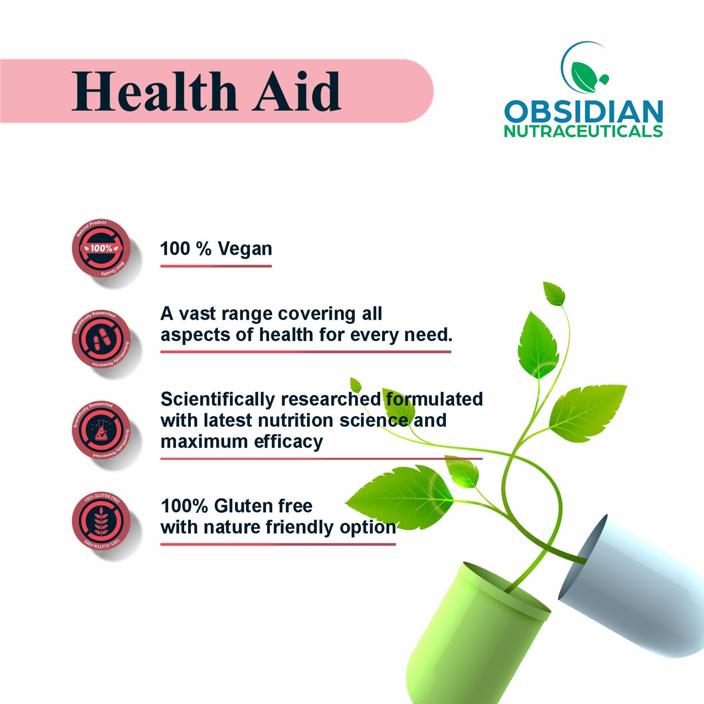 OBSIDIAN NUTRACEUTICALS | Red Yeast Rice 600 mg and Coenzyme Q10 100 mg, 60 Vegetarian Capsules | Heart & Lipid Support Formula |