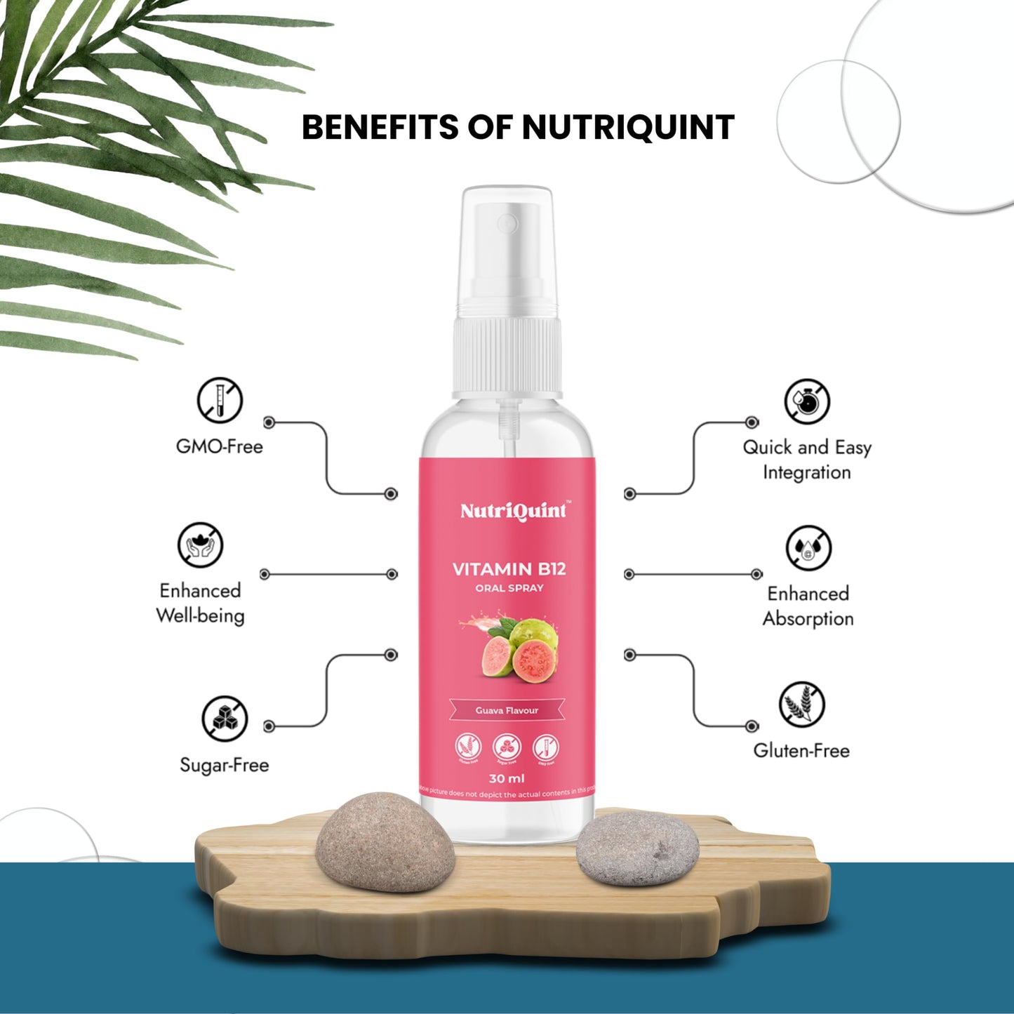 NutriQuint Vitamin B12 Supplements Oral Spray, 30ml drops | Men & Women- image 7