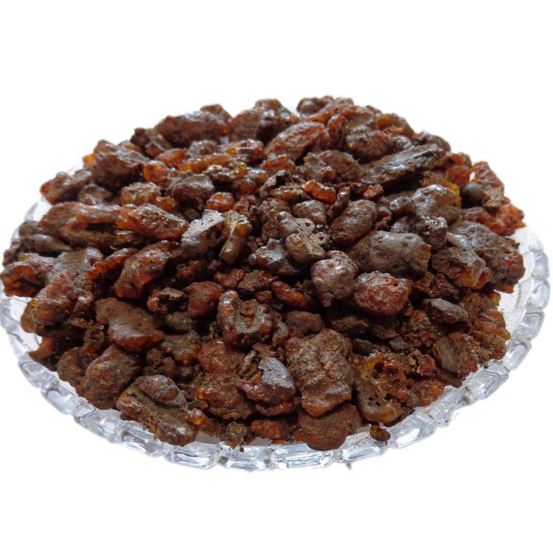 YUVIKA Lakh Pipal - Ficus Religiosa - Shellac Lac - Holy Fig Tree (200- image 4