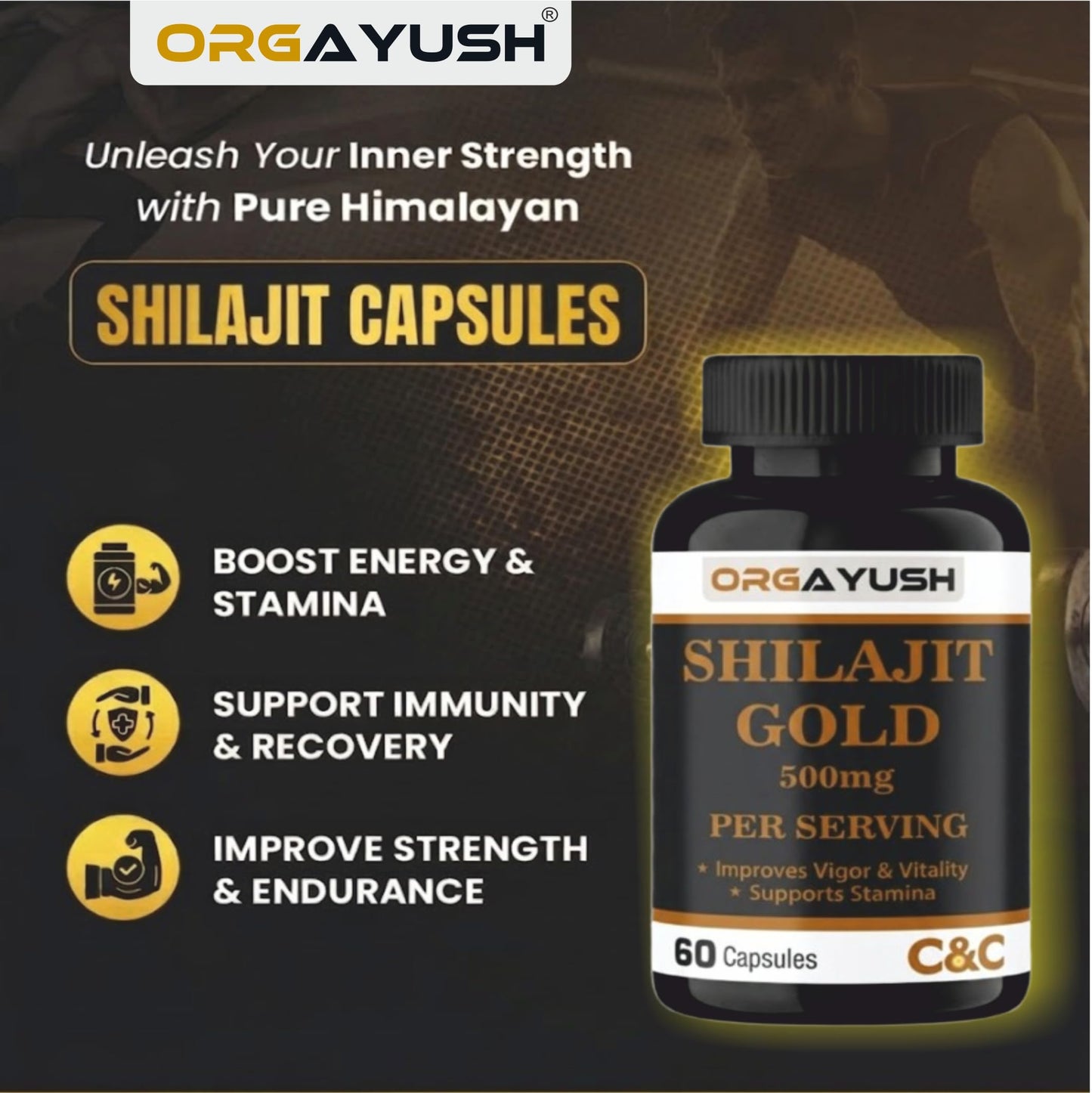 ORGAYUSH Shilajit Gold Capsules β Nano Formulated Himalayan Shilajit Supplement for Energy, Stamina, Vitality & Immunity Support with Fulvic Acid & Minerals (Pack of 1)