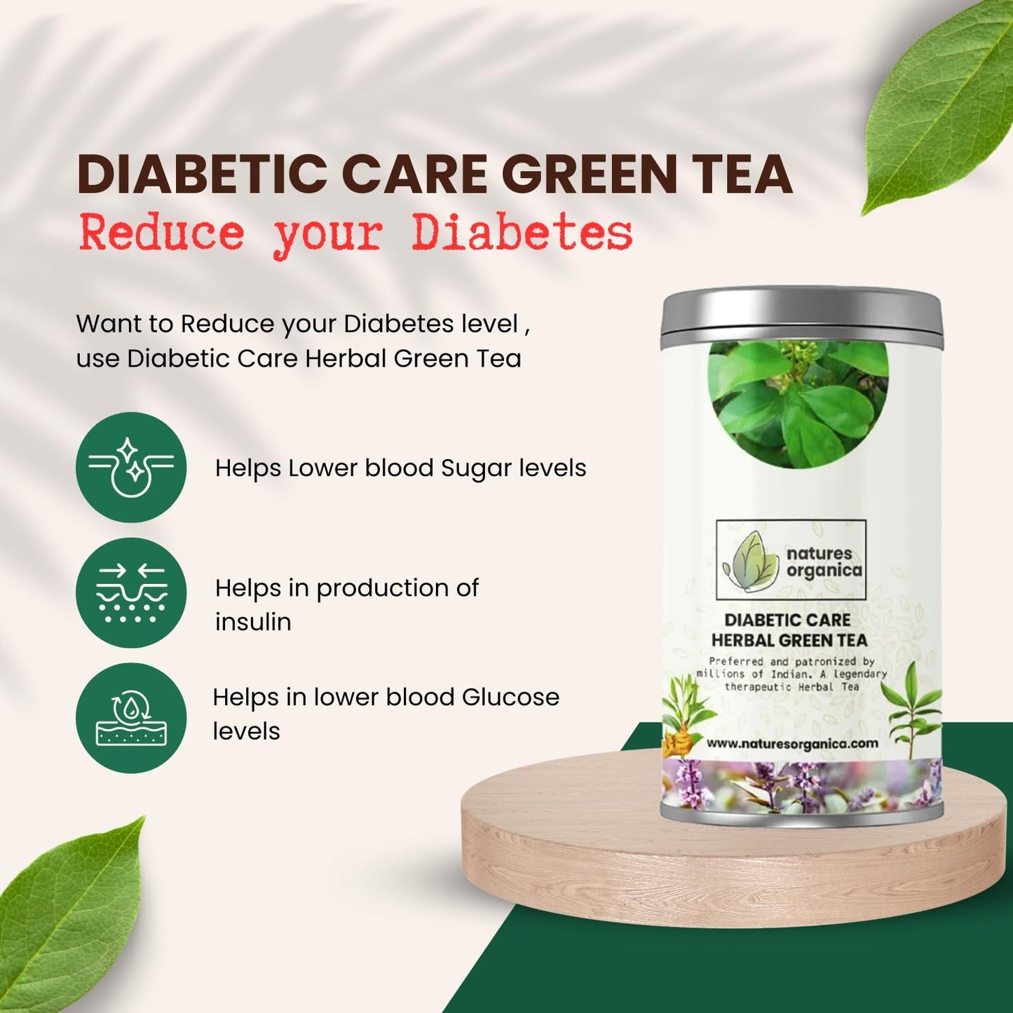 Natures Organica Diabetic Care Green Tea 100g | Herbal Anti-Diabetic Wellness with Gymnema Sylvestre, Jamun Seeds, Paneer Dodi, Giloy & Cinnamon | Supports Healthy Sugar Levels | Premium Darjeeling Green Tea Leaves