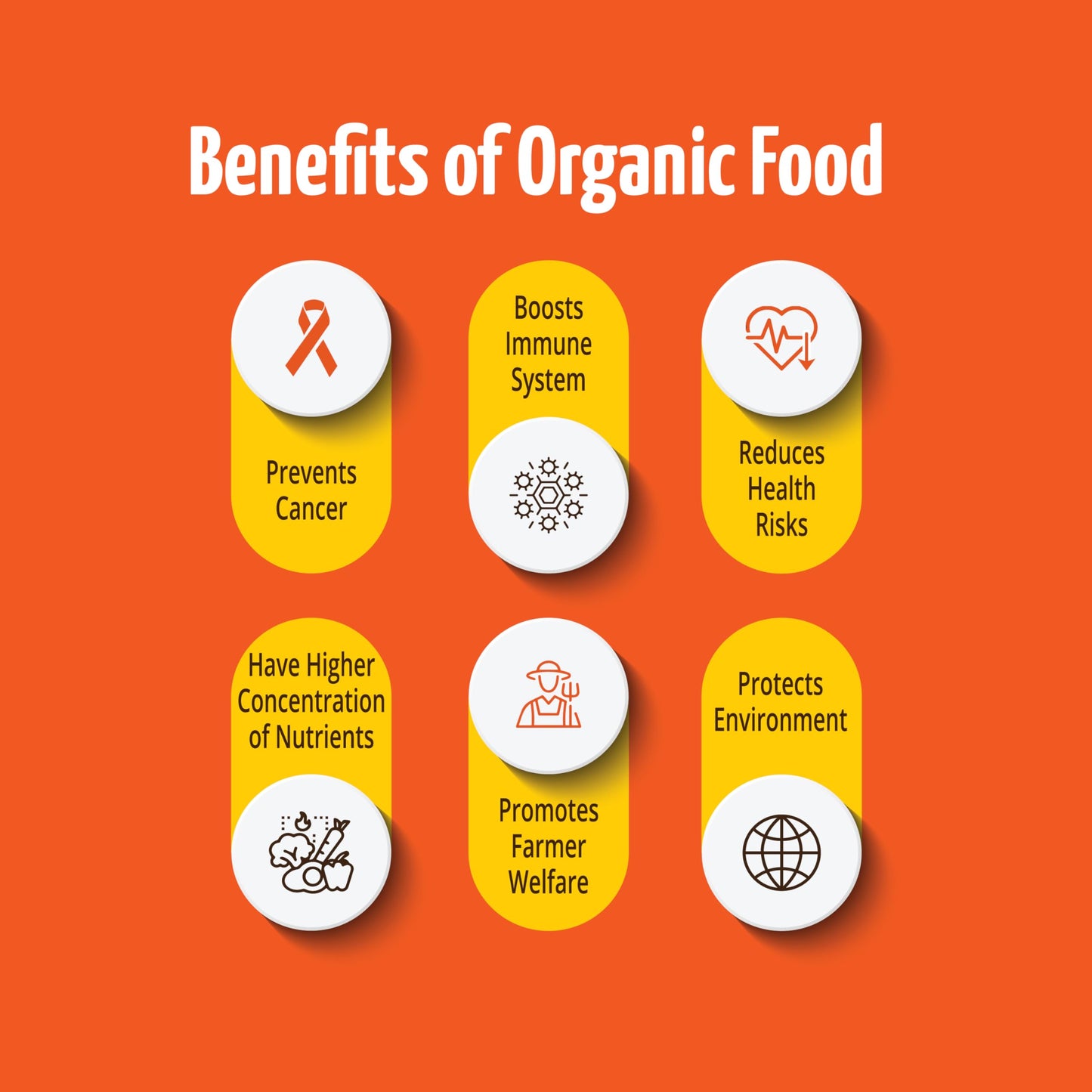 Pro Nature 100% Organic Cassia Bark Sticks -50g | Premium Dalchini Stick | Aromatic Whole Spices | Rich In Antioxidants | Everyday Cooking & Smoothies