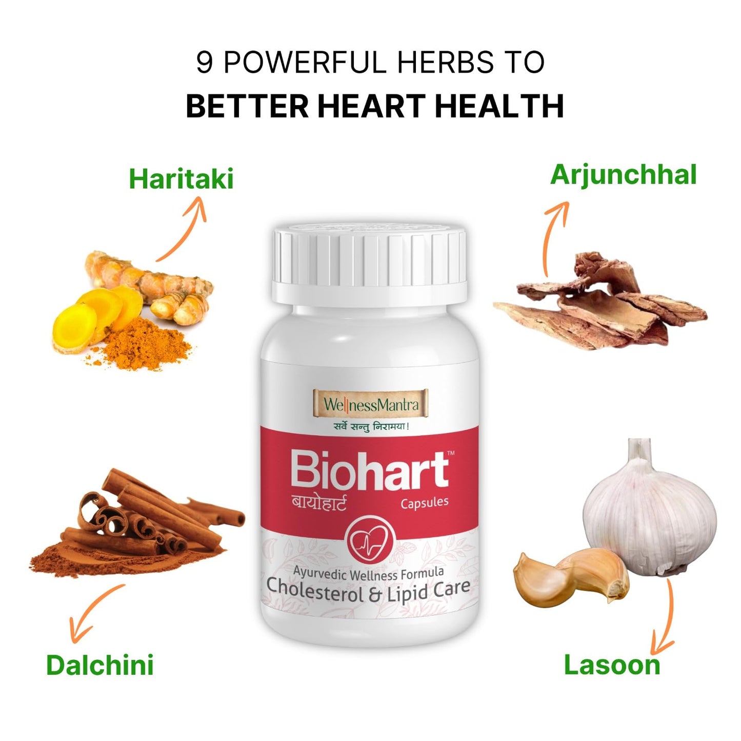 Wellness Mantra BioHart for Heart Health and Cholesterol Care | Helps L- image 9