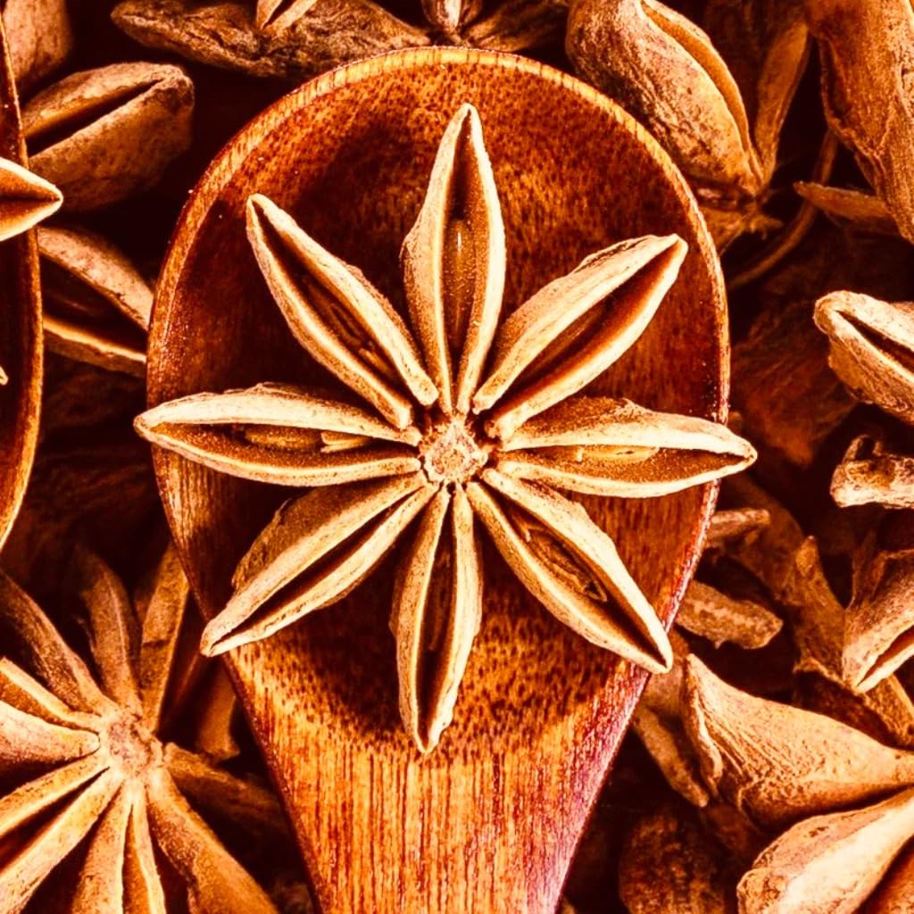 Bague star anise spice whole organic chakri pool (100 Grams)