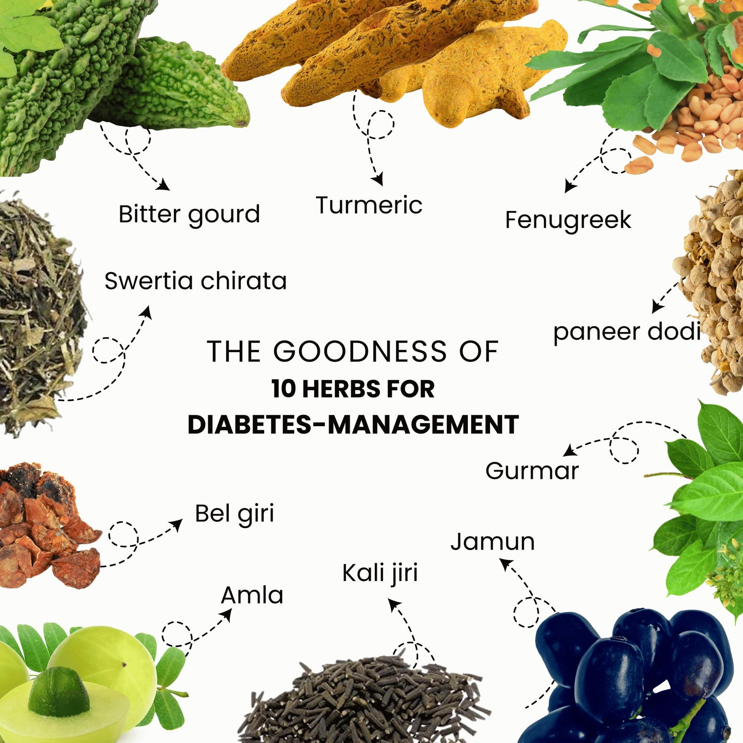 SURBHI UTPAD Karela Jamun Ayurvedic Diabetic Detox Powder with 10 Herbs- image 6