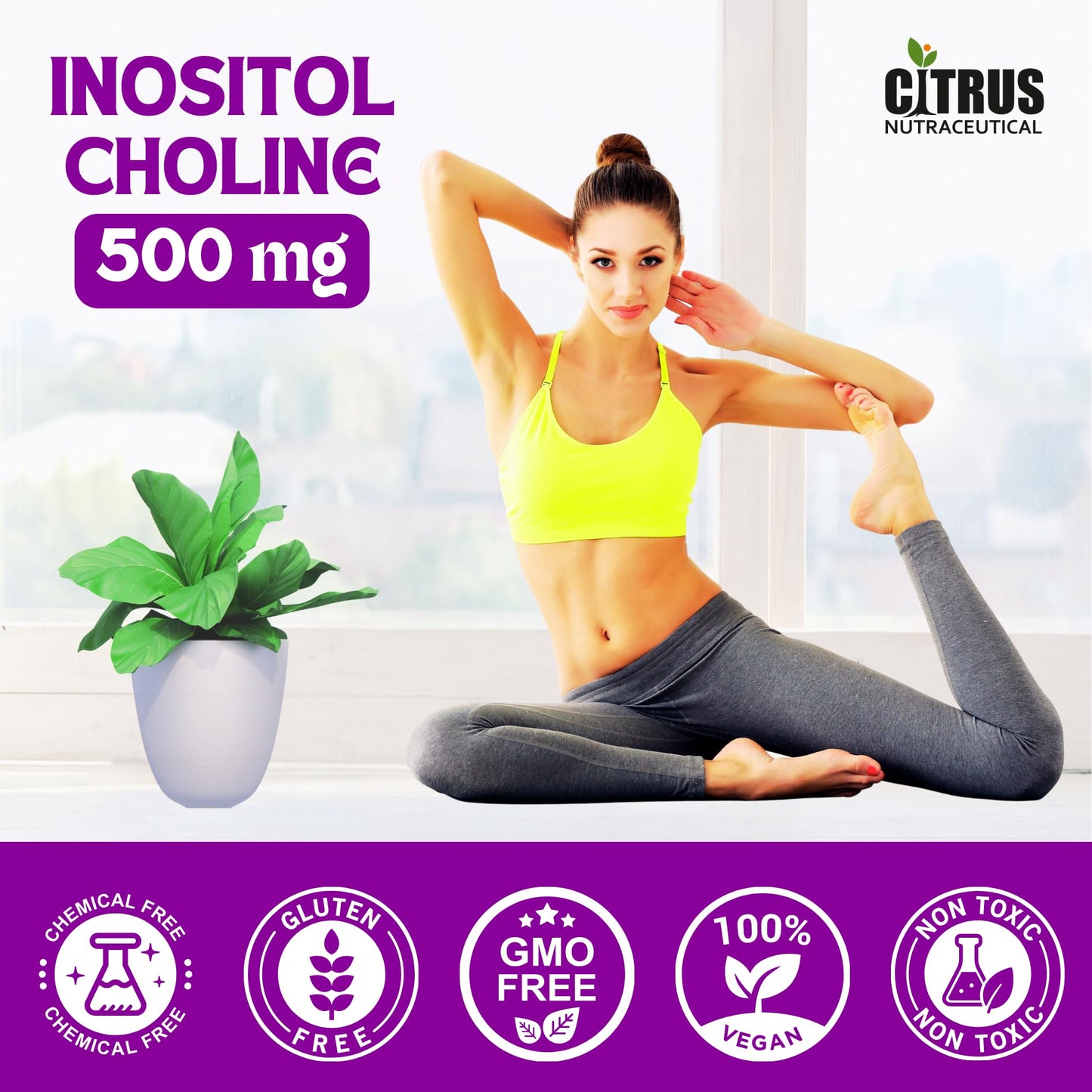 CITRUS NUTRACEUTICALS Choline & Inositol Capsules 500mg | Brain Health, Liver Support & Fat Metabolism | Cognitive Function, Mood & Metabolic Wellness | 60 Veg Capsules