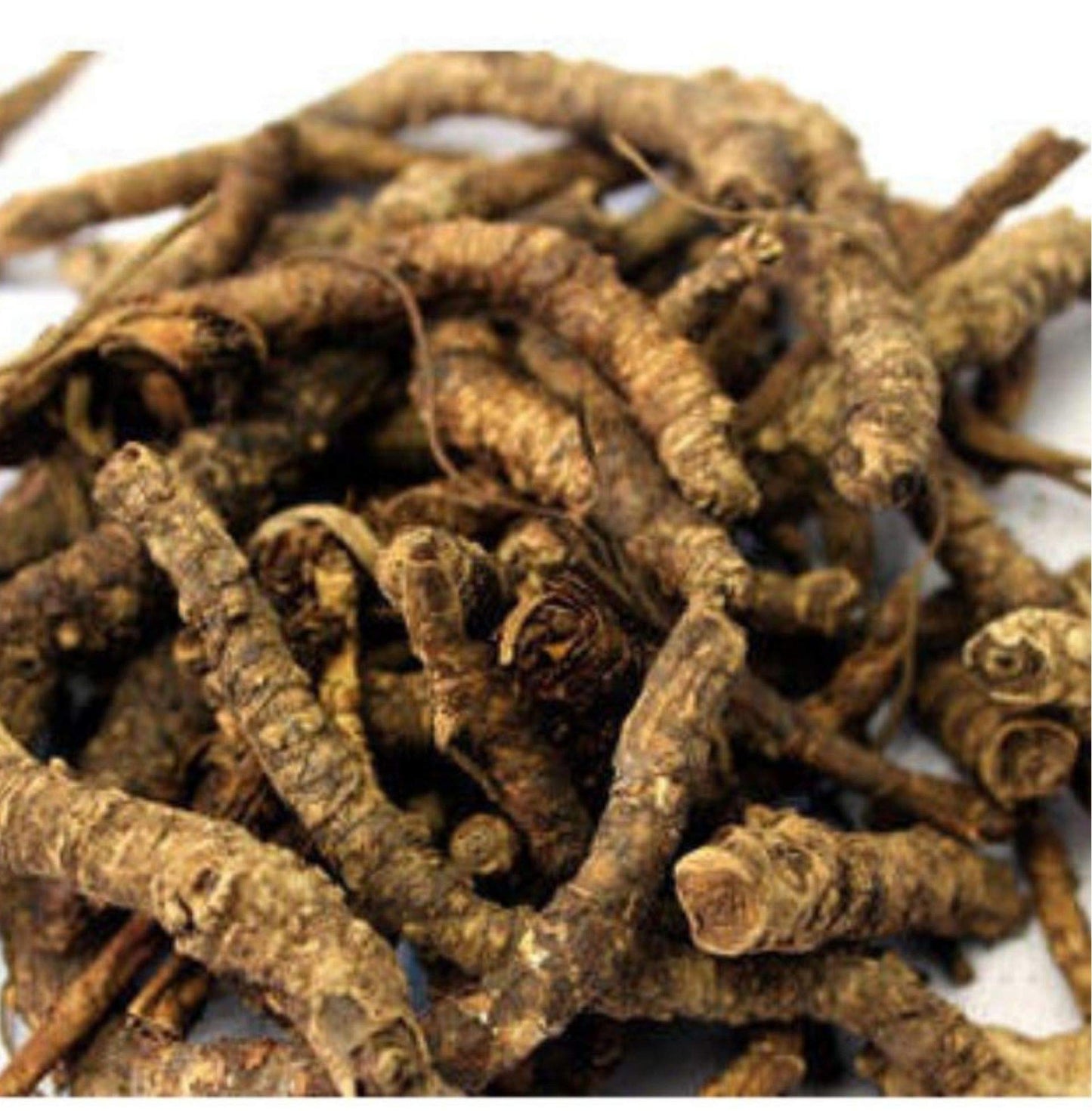 Divesh Store Kutki 100Grm - Picroriza Kurroa - Hellabore - Katukarogani Root - K