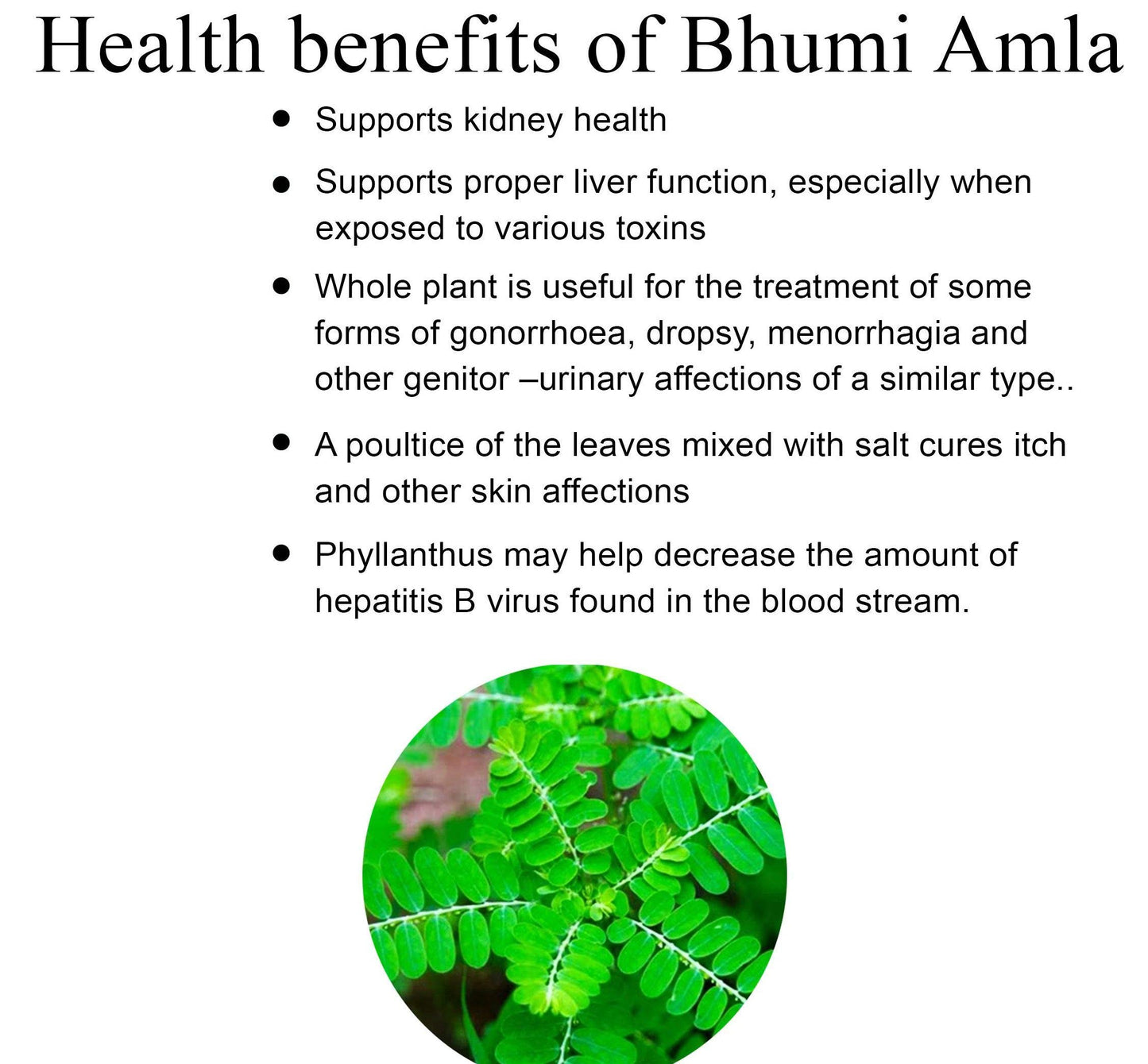 ERBZENERG® Phyllanthus Niruri (Kilanelli)(Bhumi Amala) tamalaki 60 Capsules (Pack of 2)