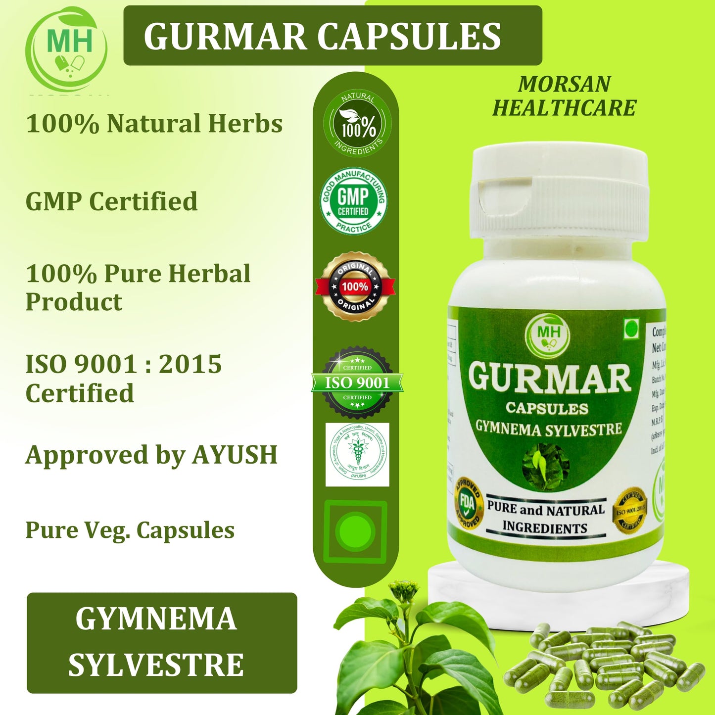 MORSAN HEALTHCARE | Gurmar (Gudmar) Capsules 500mg β 60 Count | 2 Pack | Vegetarian | Plant-Based | Herbal Supplement | No Artificial Additives | Gluten-Free | Organic | Gymnema sylvestre | Dia Free Herbal Capsules