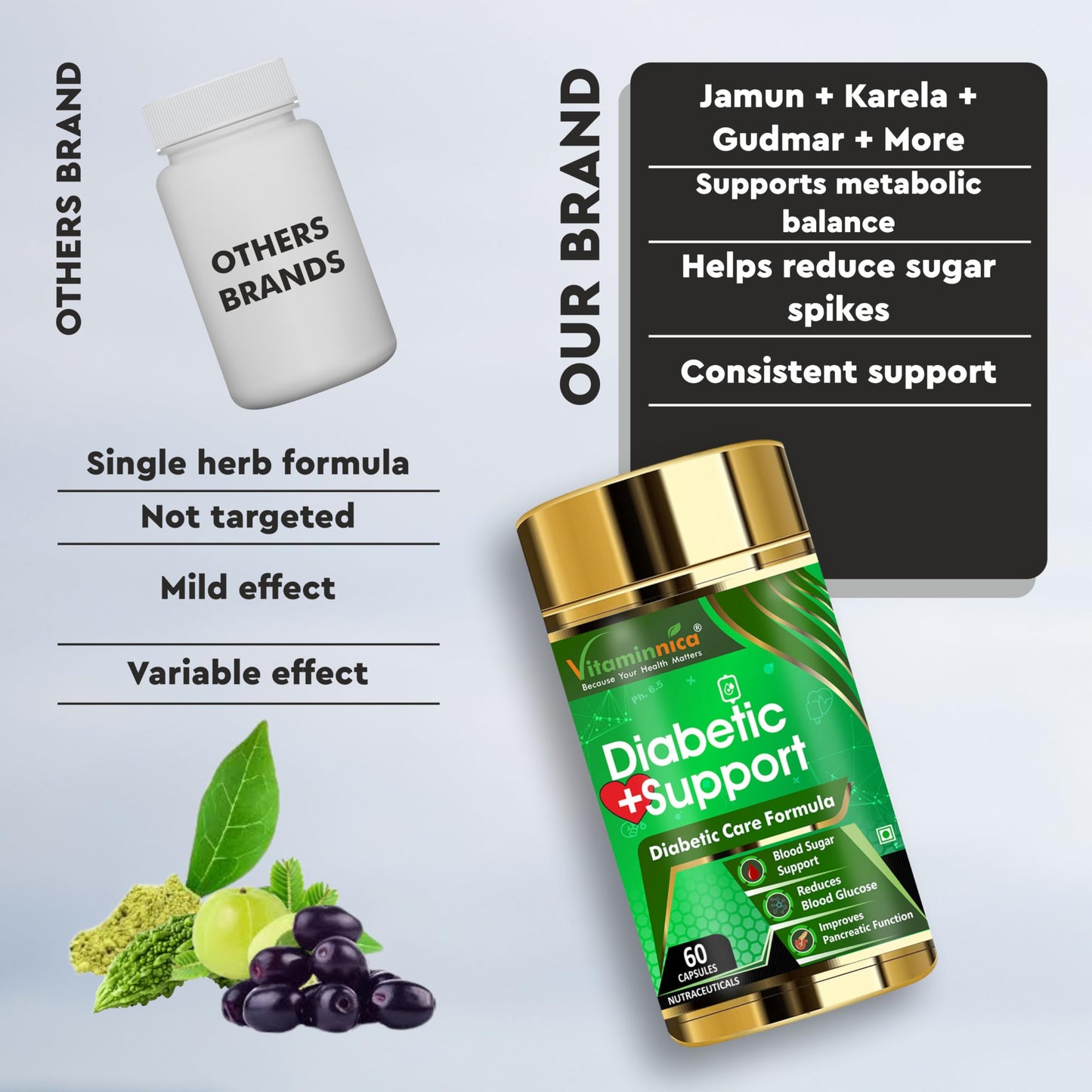 Vitaminnica Diabetic Support- Manages Blood Sugar Levels, Control Diabetes (Pack of 1)