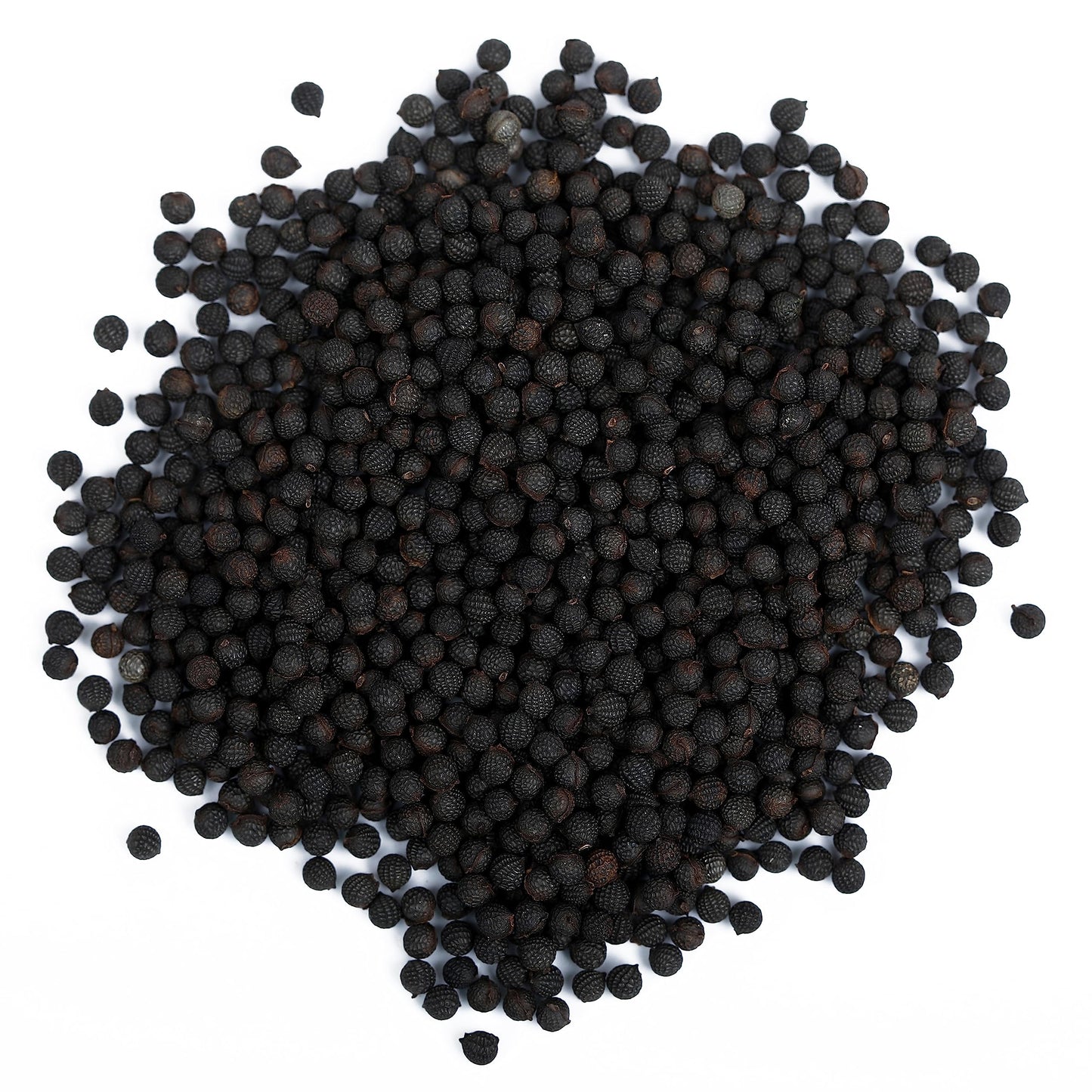 YUVIKA Beej Kateli - Satyanasi ke Beej - Kateri Seeds - Kantakari - Kat- image 4