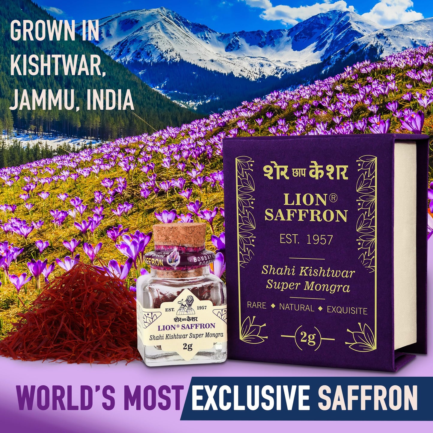 LION BRAND SAFFRON 2 gram A+++ Original Shahi Kishtwar Jammu Mongra Saf- image 9