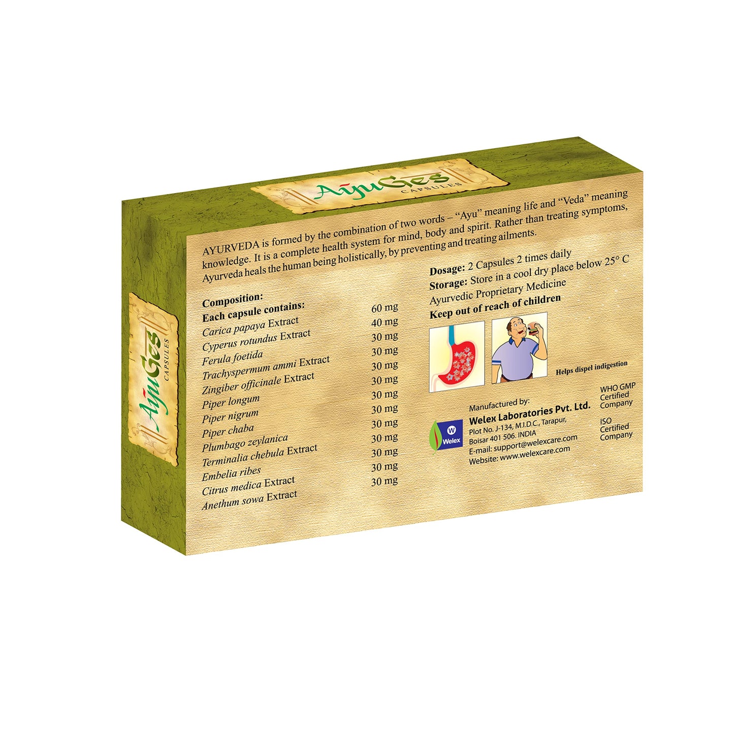 Welex Ayuges for Gastric Care - 60 Vegetarian Capsule- image 4