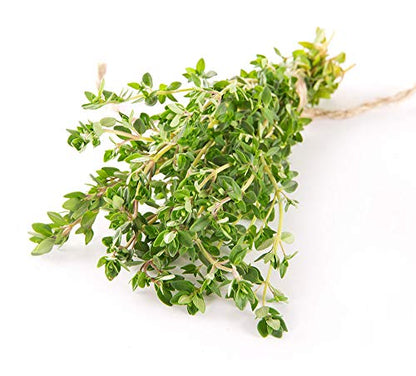 YOGAFY Organic Thyme Leaves I Tea Leaves for Cough and Cold | 100 Gram - 50 Cups