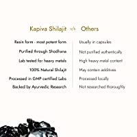 KAPIVA SHILAJIT 20G & STAMINUP CAPSULES- image 3