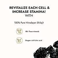 KAPIVA SHILAJIT 20G & STAMINUP CAPSULES- image 5