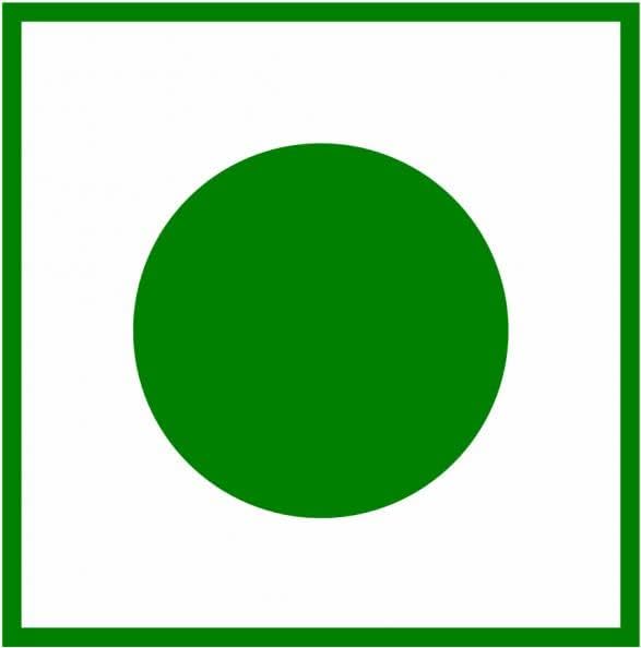 WonderBox Moringa Leaf Powder - 500 Gm | Rich in Vitamin C, Antioxidant- image 2