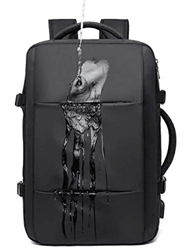 Red Lemon Bange Urban Pack Laptop Backpack for men and women | Multi-Compartment Water Resistant Business Travel Laptop Backpack upto 17" (1908 Black)