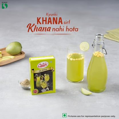 Catch Jal Jeera Masala, 100g