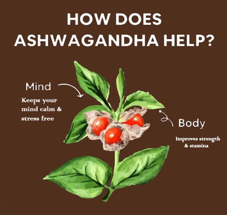 Trivang Organic Ashwagandha Powder (227 GRAM) -Withania Somnifera from- image 5