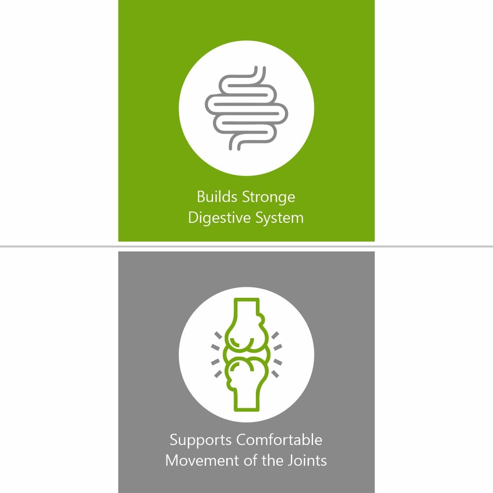 Jain Guduchi (Tinospora Cordifolia) Powder - 400 gms- image 7