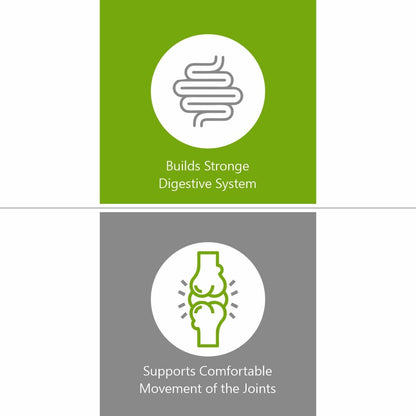 Jain Guduchi (Tinospora Cordifolia) Powder - 400 gms- image 7