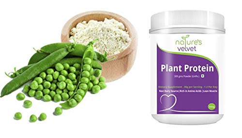 Nature's Velvet Plant Protein, Rich in BCAAs, 300gms -Pack of 1- image 2