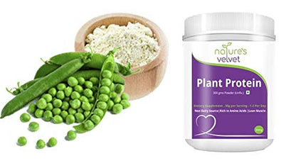Nature's Velvet Plant Protein, Rich in BCAAs, 300gms -Pack of 1- image 2