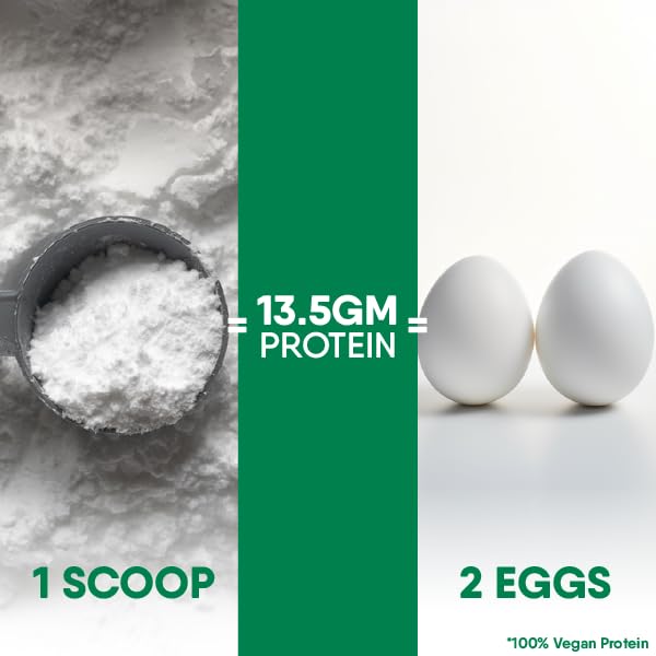 TruNativ Everyday Plant Protein| 13.5g Protein| Soy, Pea & Brown Rice P- image 7