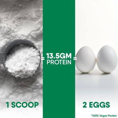 TruNativ Everyday Plant Protein| 13.5g Protein| Soy, Pea & Brown Rice P- image 7