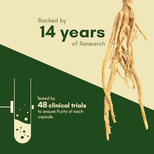 Rasayanam Ashwagandha KSM-66 (500 mg) | Extra Strength Natural Formulat- image 8