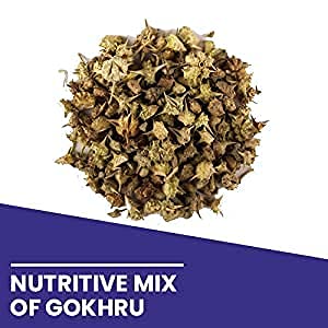 Kamdhenu Ayurvedic Gokhru Powder for Wellness, Improves Digestion, Phys- image 2