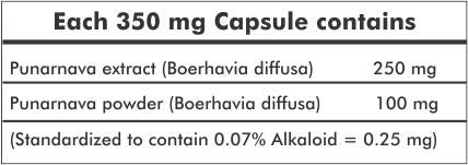 Ayurvedic Life Punarnava Capsules 350mg Capsules, Natural, 120 count- image 4