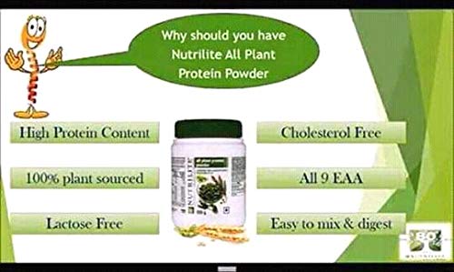 Amway Nutrilite All Plant Protein - 1 kg- image 4