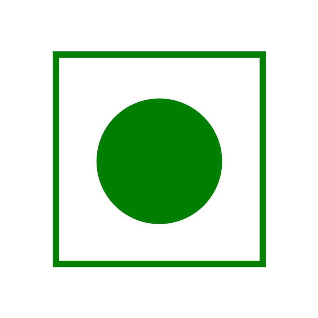 STAMIO Shatavari Root Powder 100 gm | Asparagus racemosus | Satavari Ki- image 2