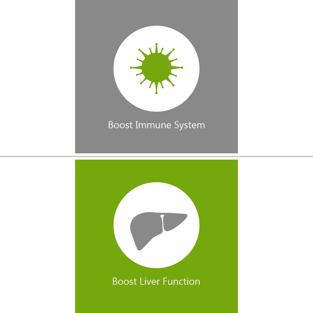 Jain Guduchi (Tinospora Cordifolia) Powder - 400 gms- image 6