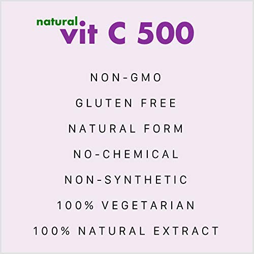 HealthyHey Nutrition Natural Vit C 500 - Natural Vitamin C sourced from- image 3