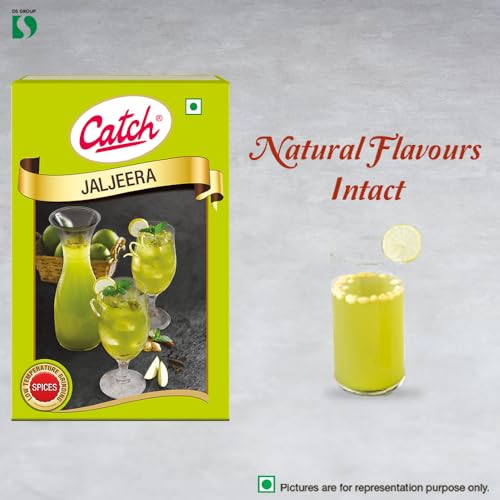 Catch Jal Jeera Masala, 100g