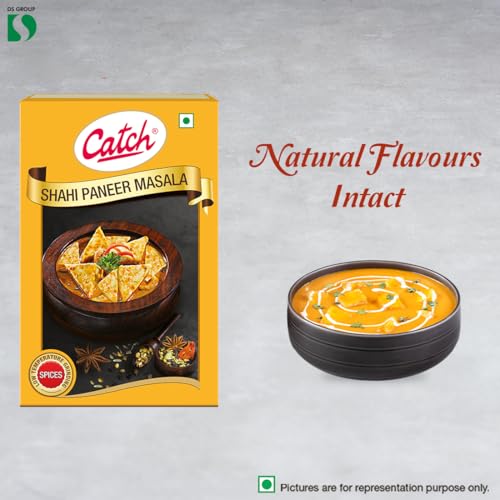 Catch Sahi Paneer Masala, 100g