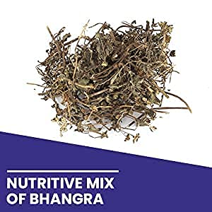 Kamdhenu Bhringraj Powder | Bhangra Powder | Eclipta Alba (250 Gram)- image 3
