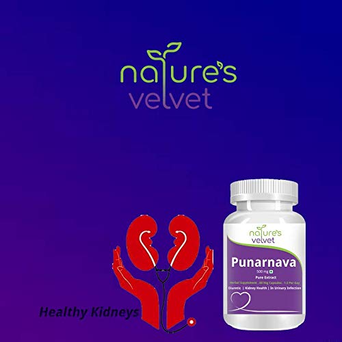 Natures Velvet Lifecare Punarnava Pure extract 500 mg 60 Capsules pack- image 2