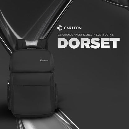 CARLTON Laptop Backpack 22L With Rain Cover, Pockets for Hard drive, Pa- image 3