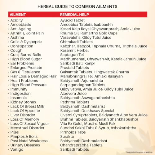 Baidyanath Brahmi Tablets - 60 Tab (Pack of 1)- image 2